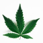 health benefits of hemp