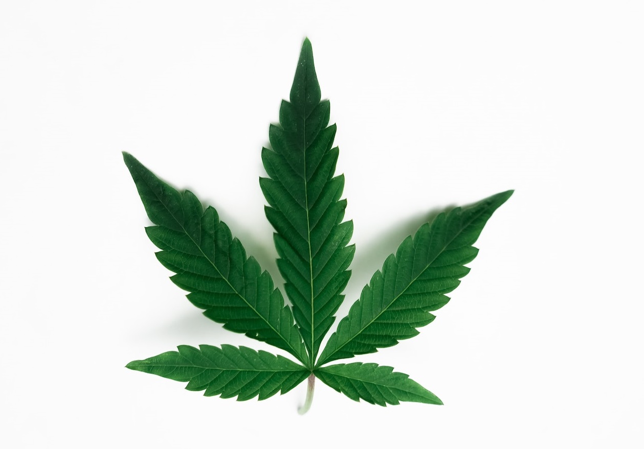 health benefits of hemp